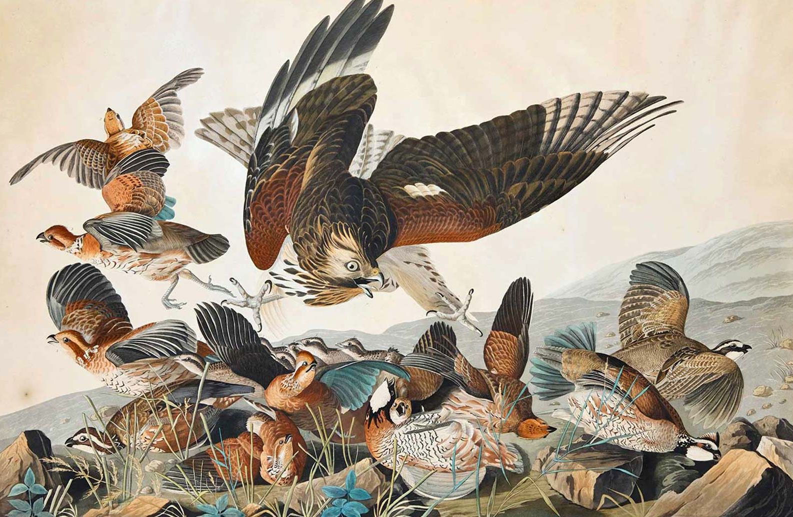 American Fine Art Magazine - Issue #85