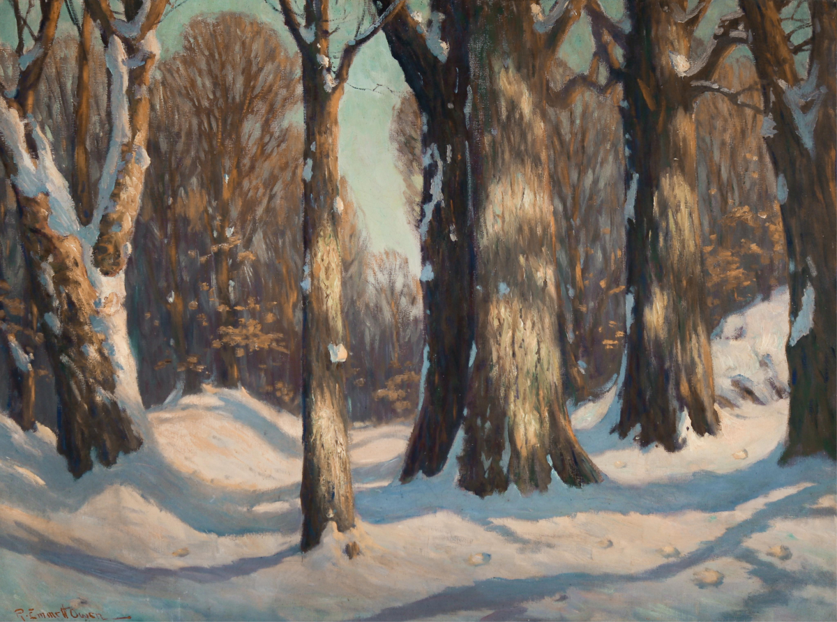 Snowy Woodland