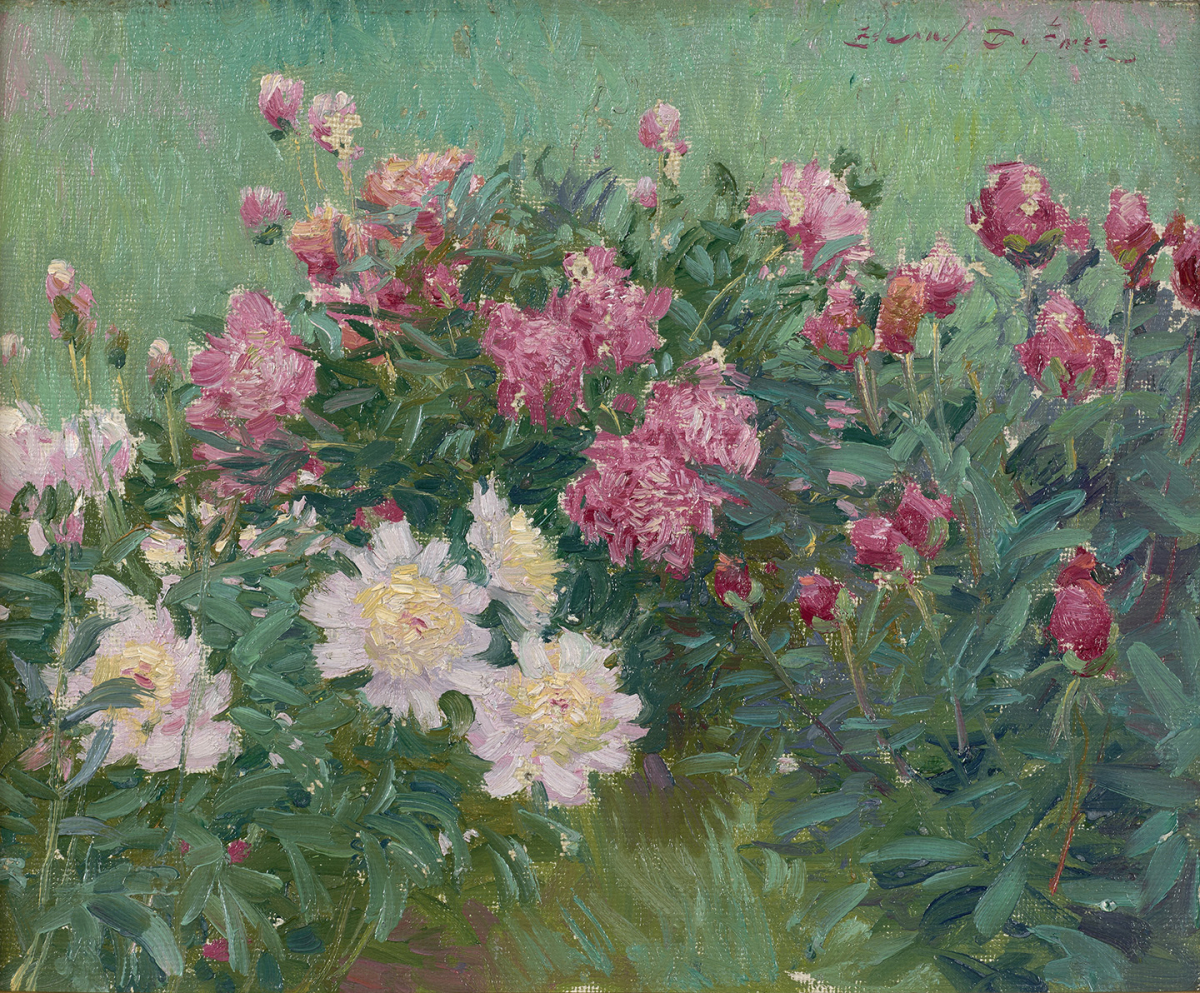 Peonies