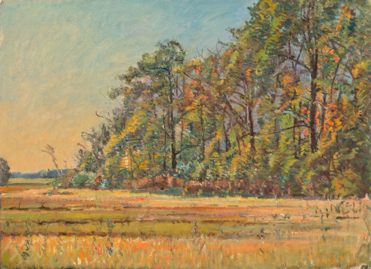 Trees along the Marsh