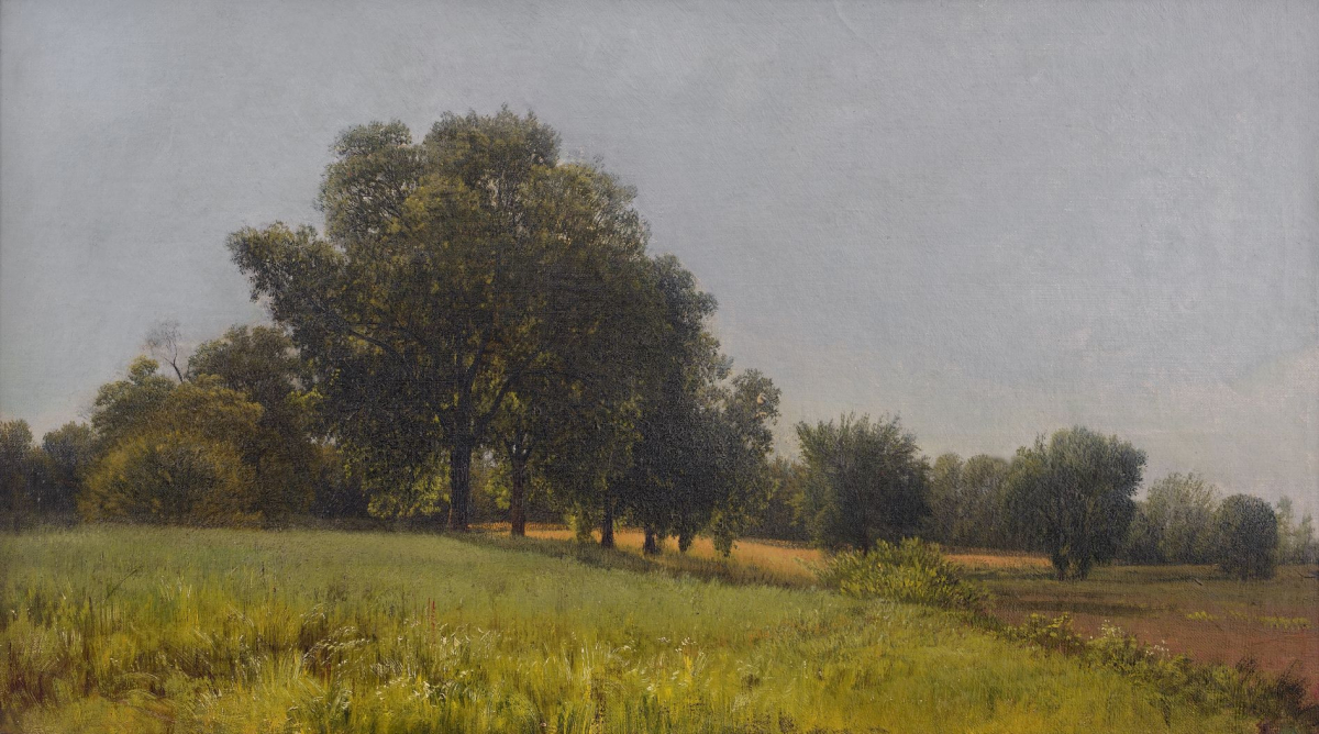 Meadow Maples-Grasses and Wildflowers, 1879