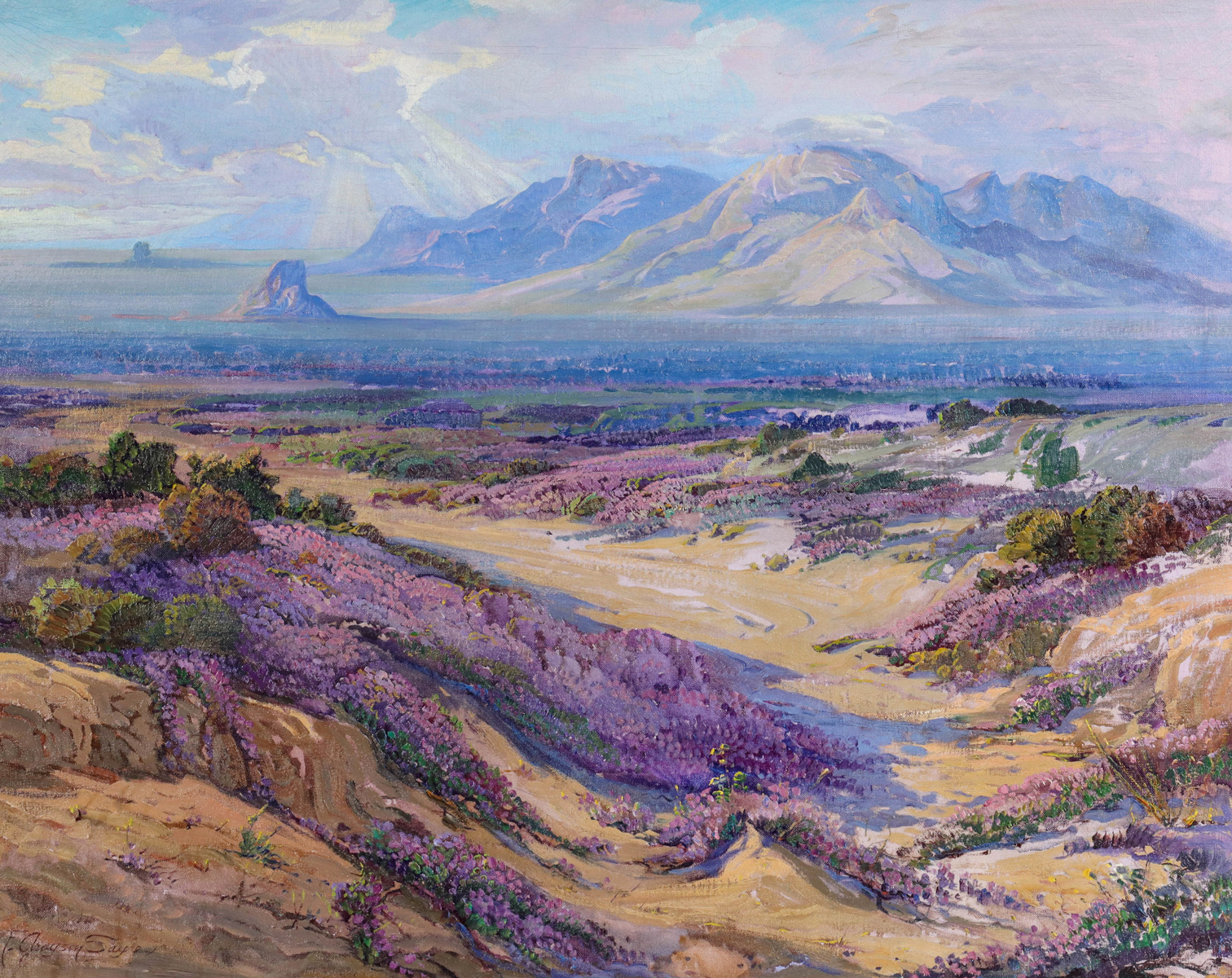 Verbena Time on the Desert
