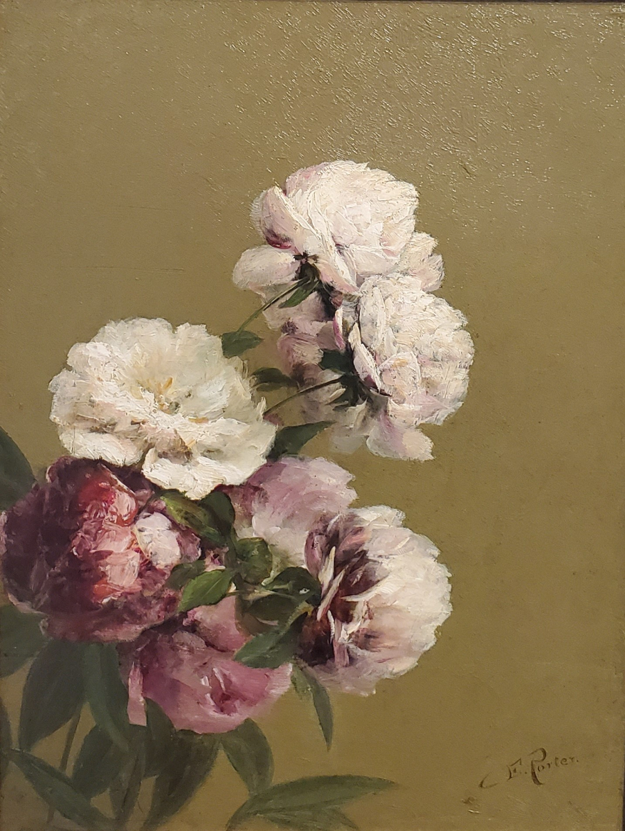 Peonies