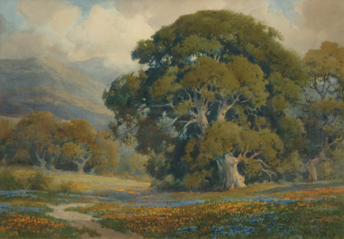 Poppies and Lupines under the Oak