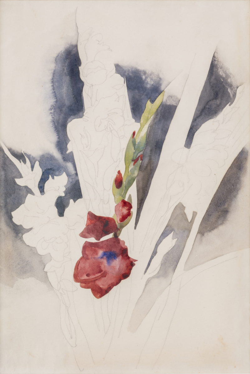 Gladioli, circa 1925