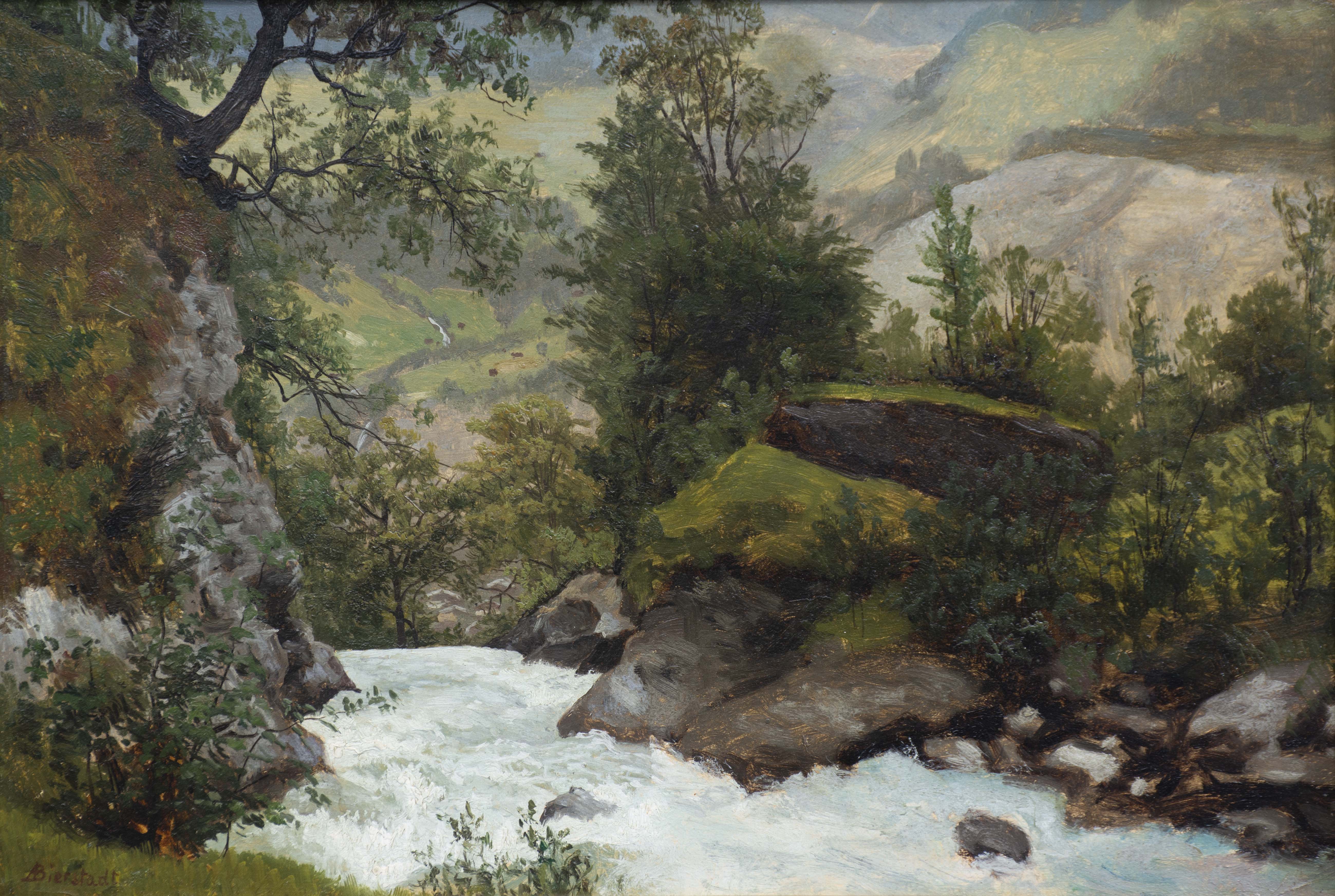 Above the Falls circa 1872